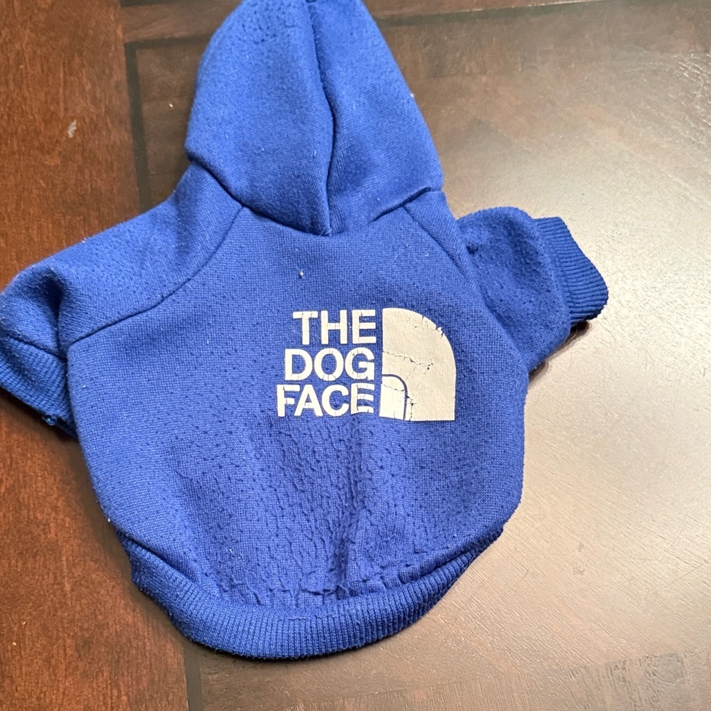 Blue Dog Hoodie